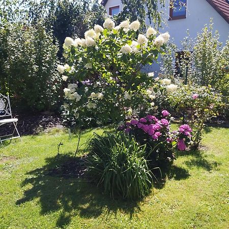 Ferienwohnung Waldwinkel Treuchtlingen Exterior foto