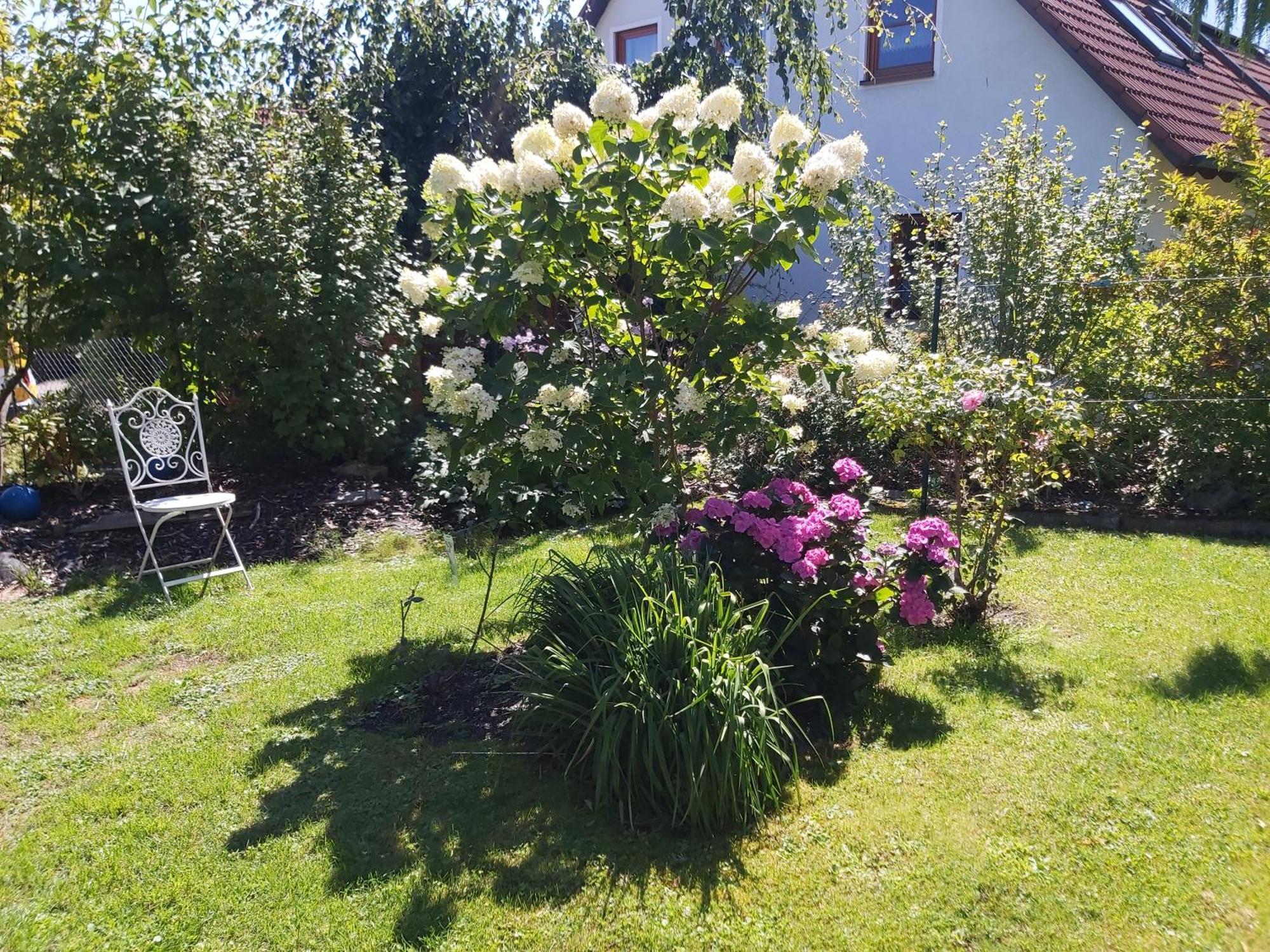 Ferienwohnung Waldwinkel Treuchtlingen Exterior foto